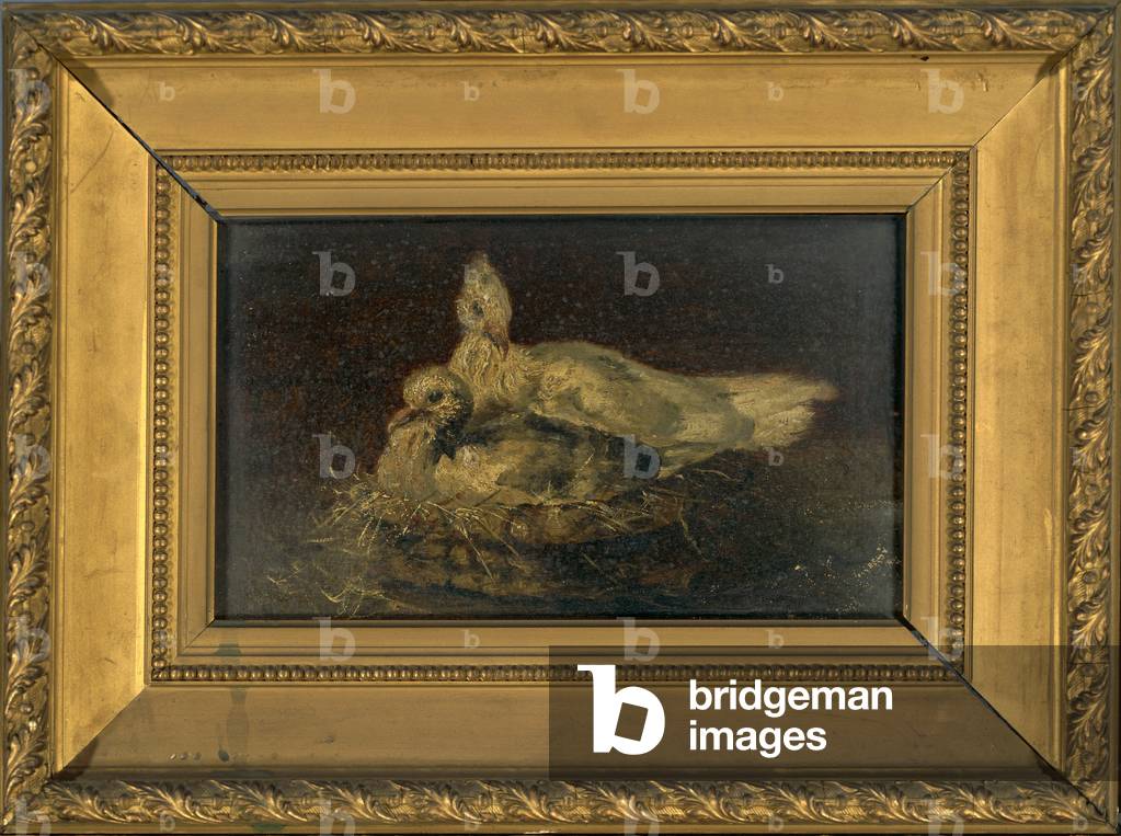 Two Pigeons in a Basket
