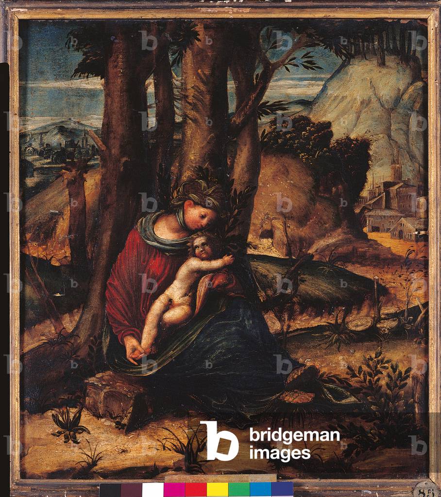 Madonna with Child in a Landscape (The Gypsy Girl), 1520-25 (oil on panel)