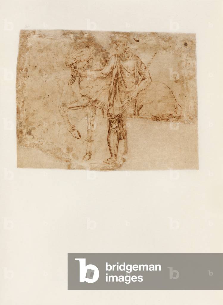 One of the Dioscuri