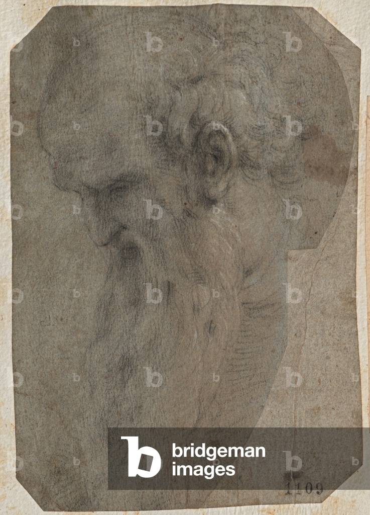 Bearded Man Head in Profile Looking Down