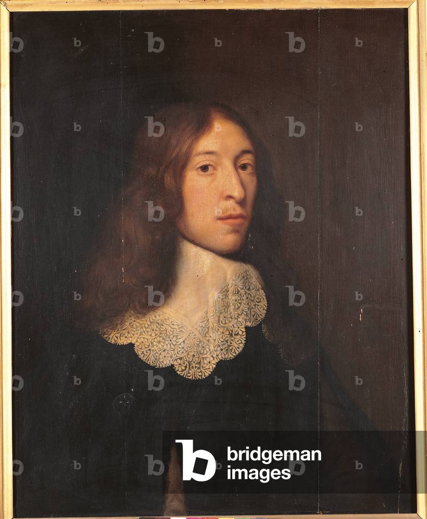 Male Portrait, c.1645-50 (oil on panel)