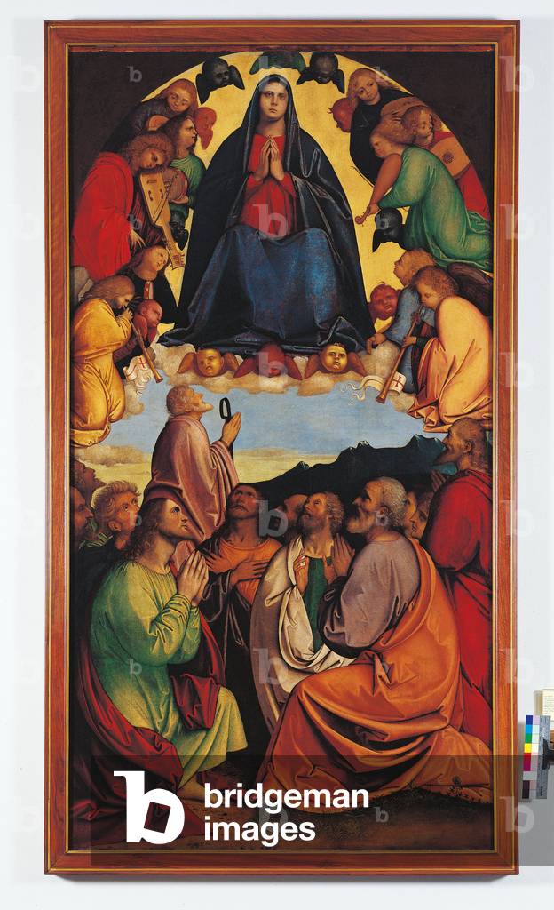 Assumption of the Virgin, 1500-10 (tempera on panel)
