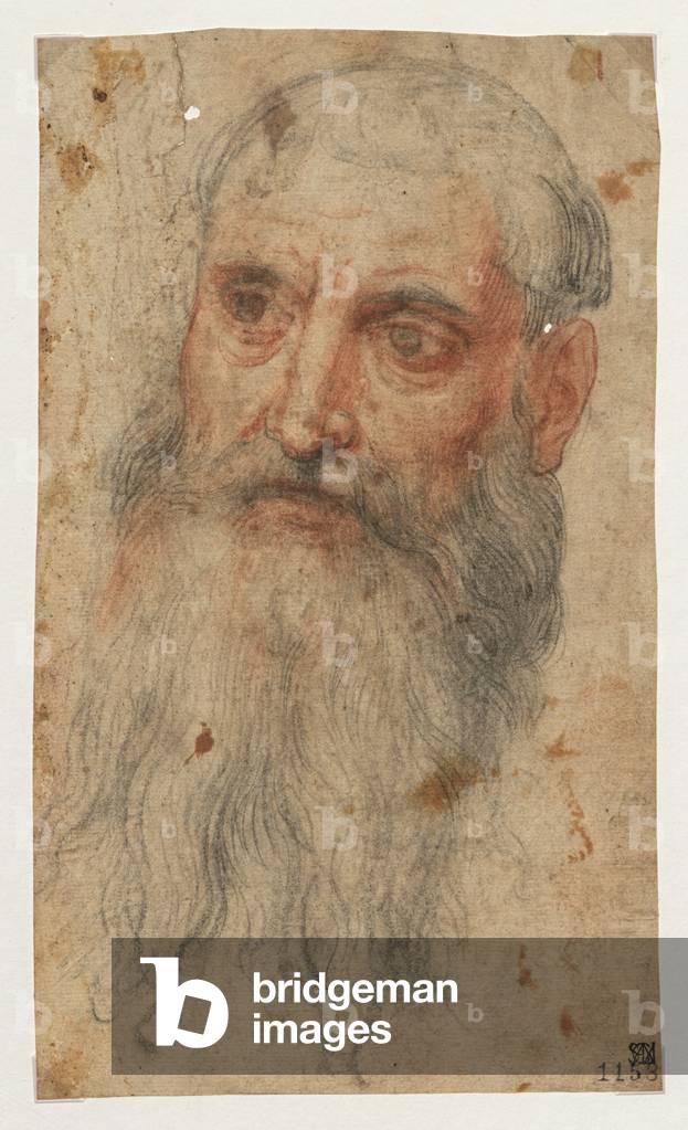 Bearded Man Head