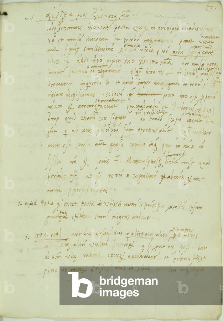 Page from the manuscript Annotationes in Homerum