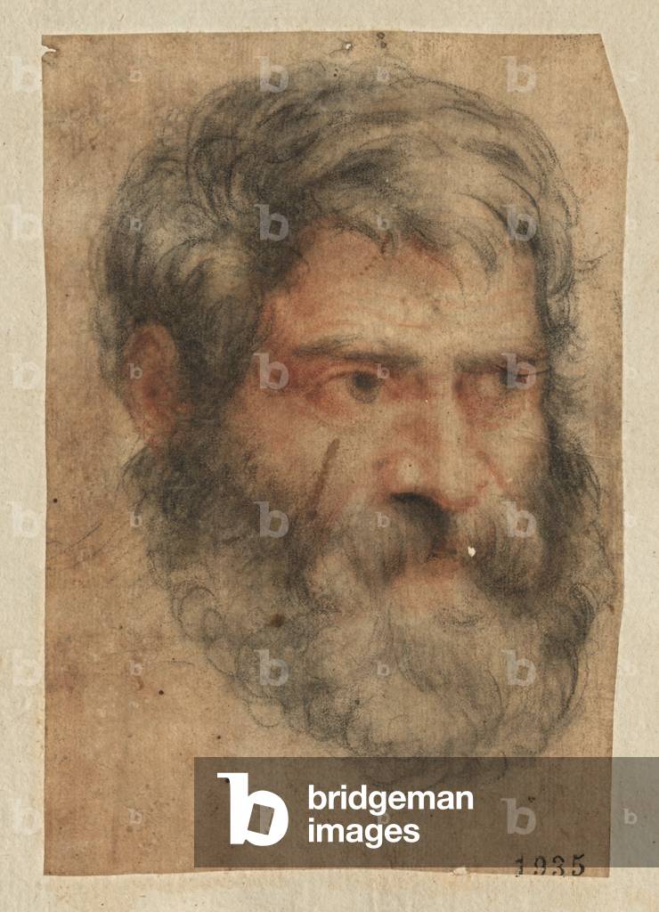 Portrait of a Man