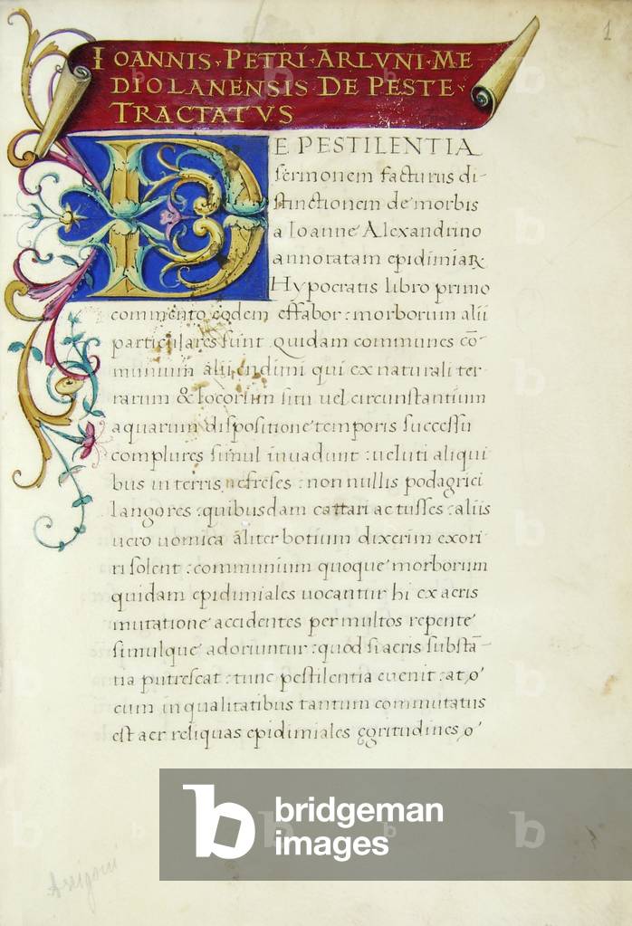 Illuminated first page with initial from the De Peste tractatus