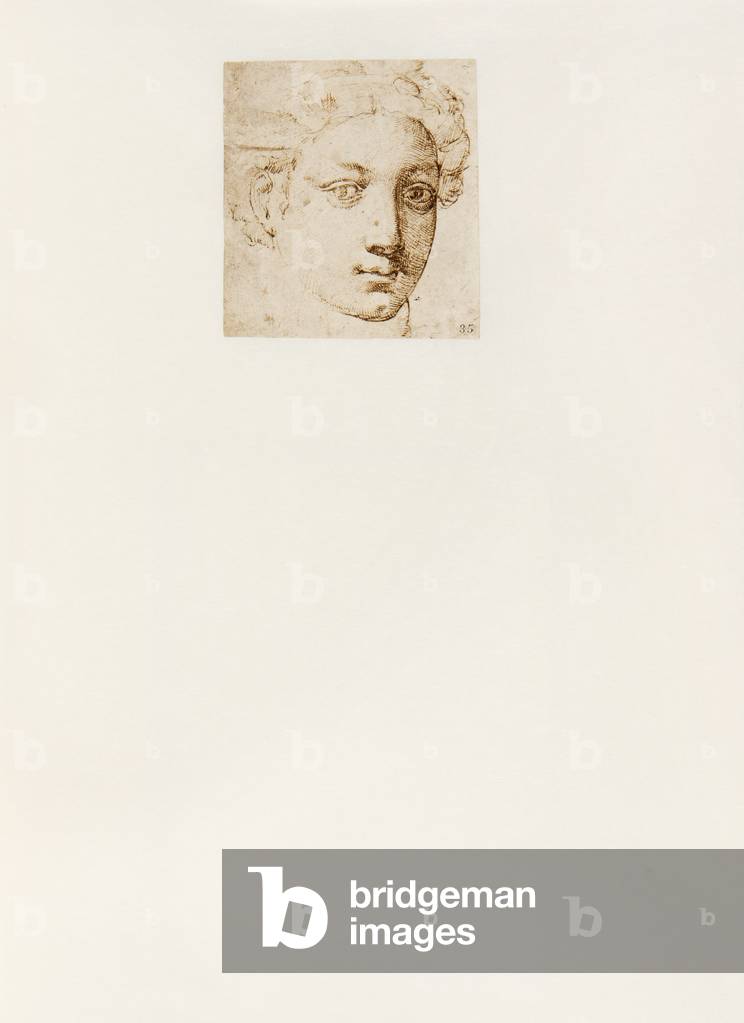 Woman Head