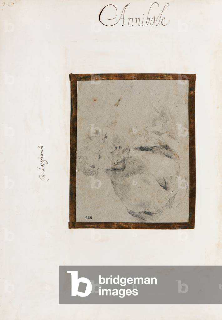 Study of the Length of the Torso of a Young Man