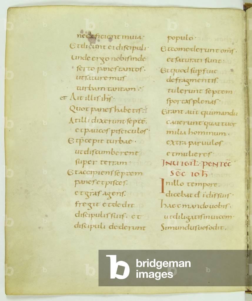 Page from the Gospel for the Last Station (in ecclesia maiore) of the Triduum Litanies (vellum)