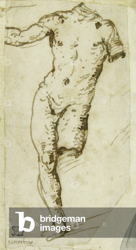 Male Nude