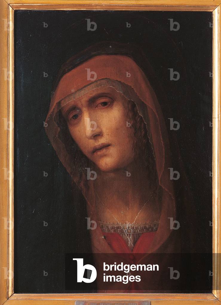 Our Lady of Sorrows, 1525-49 (oil on canvas)