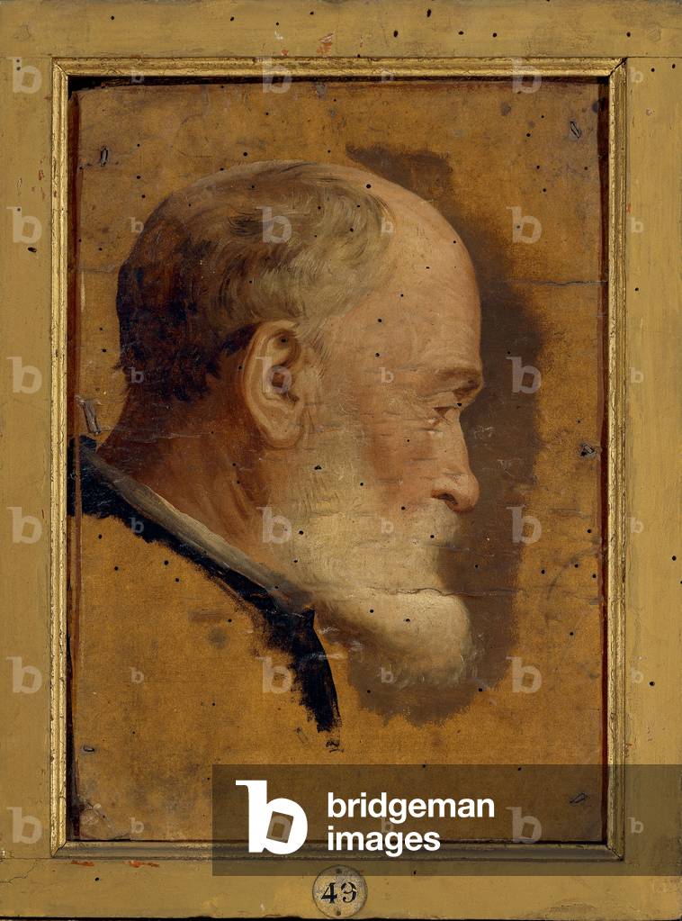 Bearded Old Man's Head seen in Profile