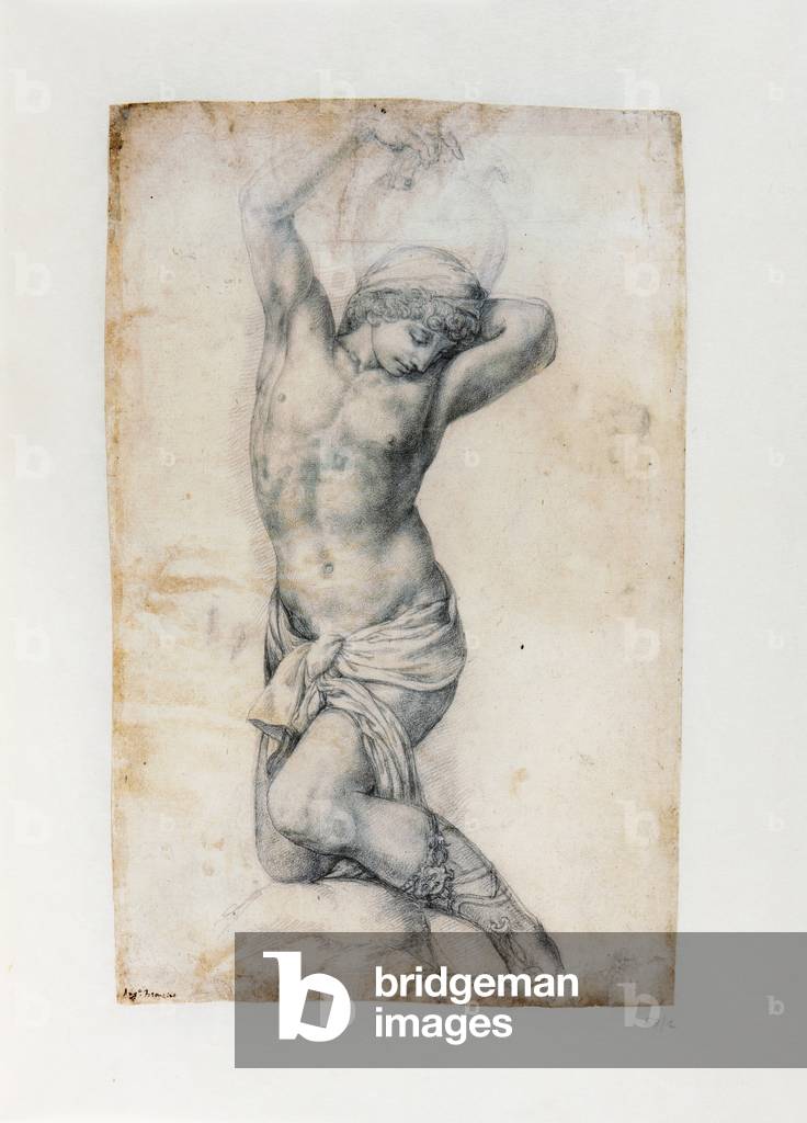 Kneeling Young Man Holding an Amphora