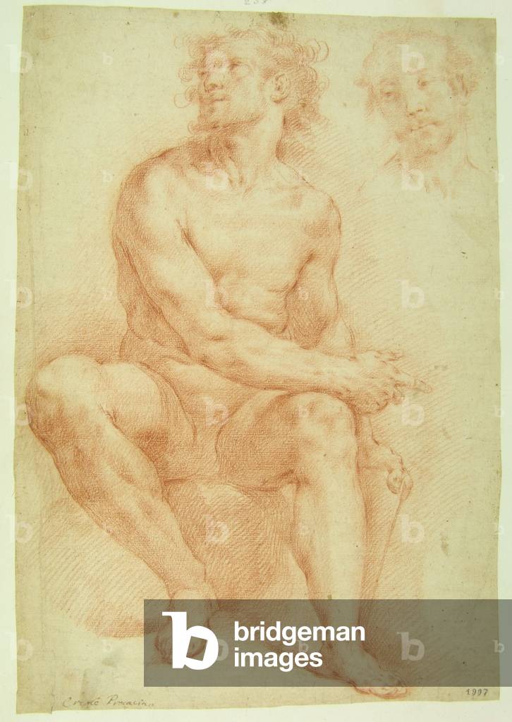 Sitting Nude Man