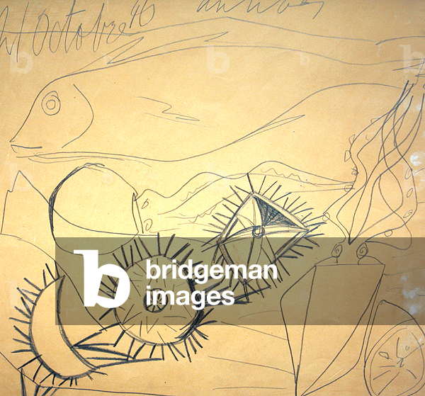 ricci di mare, pesce, calamari, limone, 1946 (matita su carta)