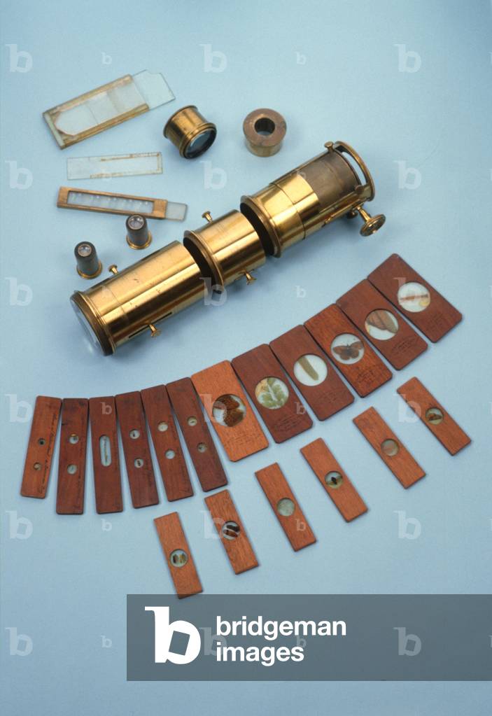 Projection microscope, retailed by Watkins & Hill, London, intended for use with a magic lantern, together with 18 natural history slides, c.1870 (brass, glass & wood)