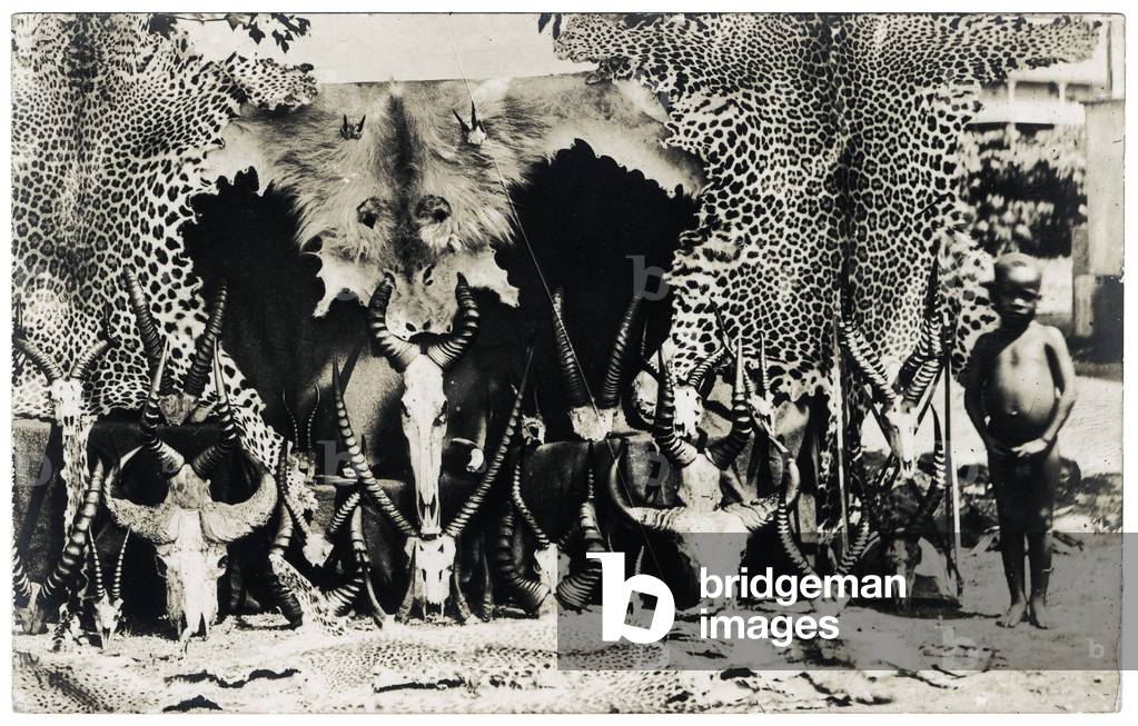 Trophies, c.1910 (b/w photo)