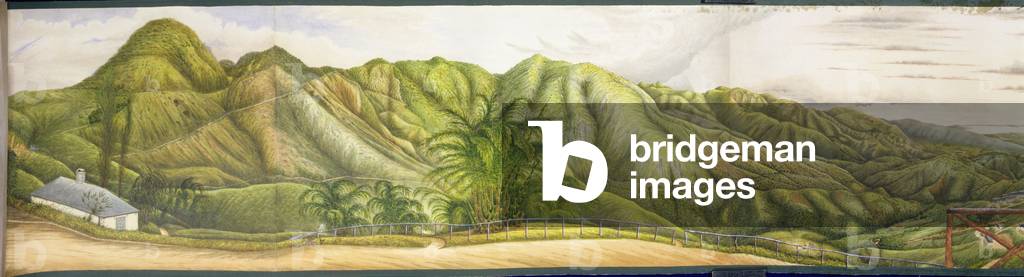 A View Towards Kingston from the Military Sanatorium at Newcastle, Blue Mountains, Jamaica, 1855 (w/c and gouache on paper laid down on canvas)