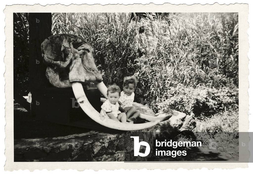 Two children with an elephant skull, c.1940 (gelatin silver print)