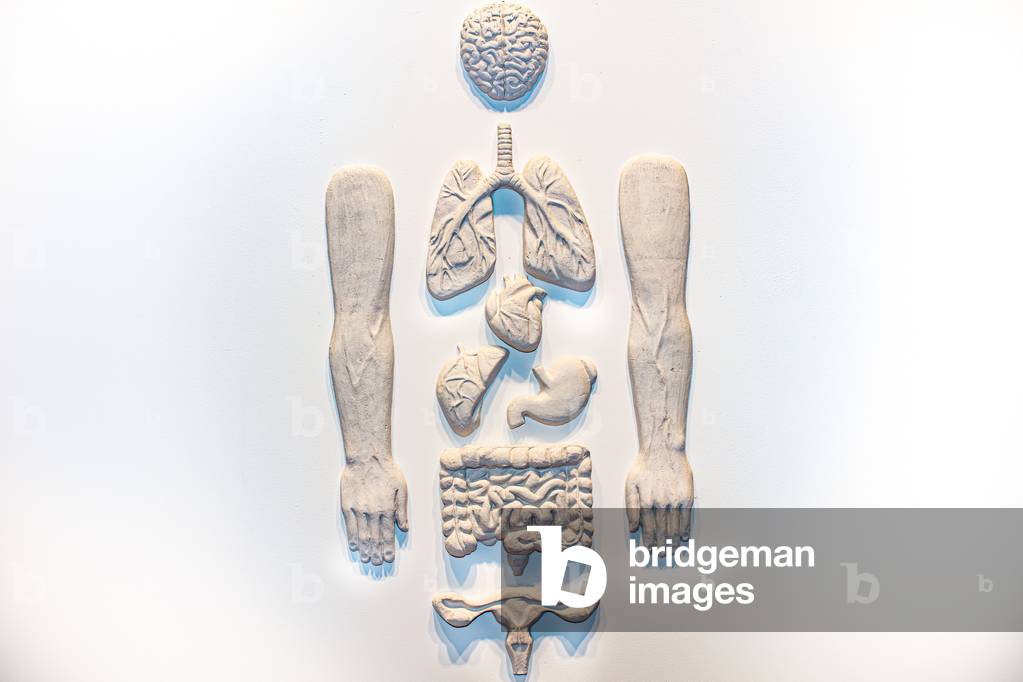 The Miracle Organ, 2019 (sculpture)