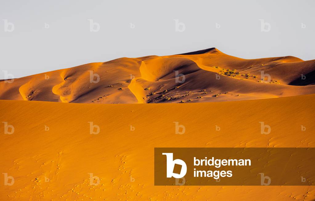Sossusvei dunes Namibia, 2020 (photo)