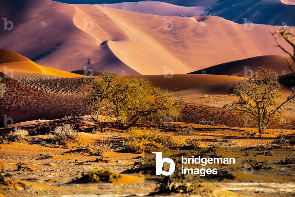 Naukluft desert desert landscape Namibia, 2020 (photo)