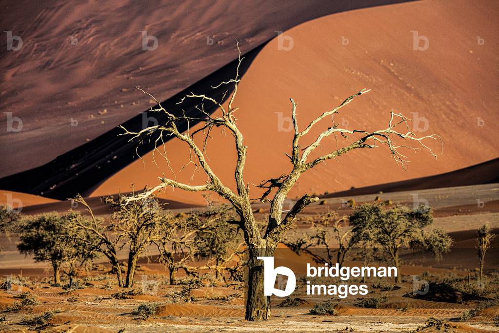 Naukluft desert desert landscape Namibia, 2020 (photo)