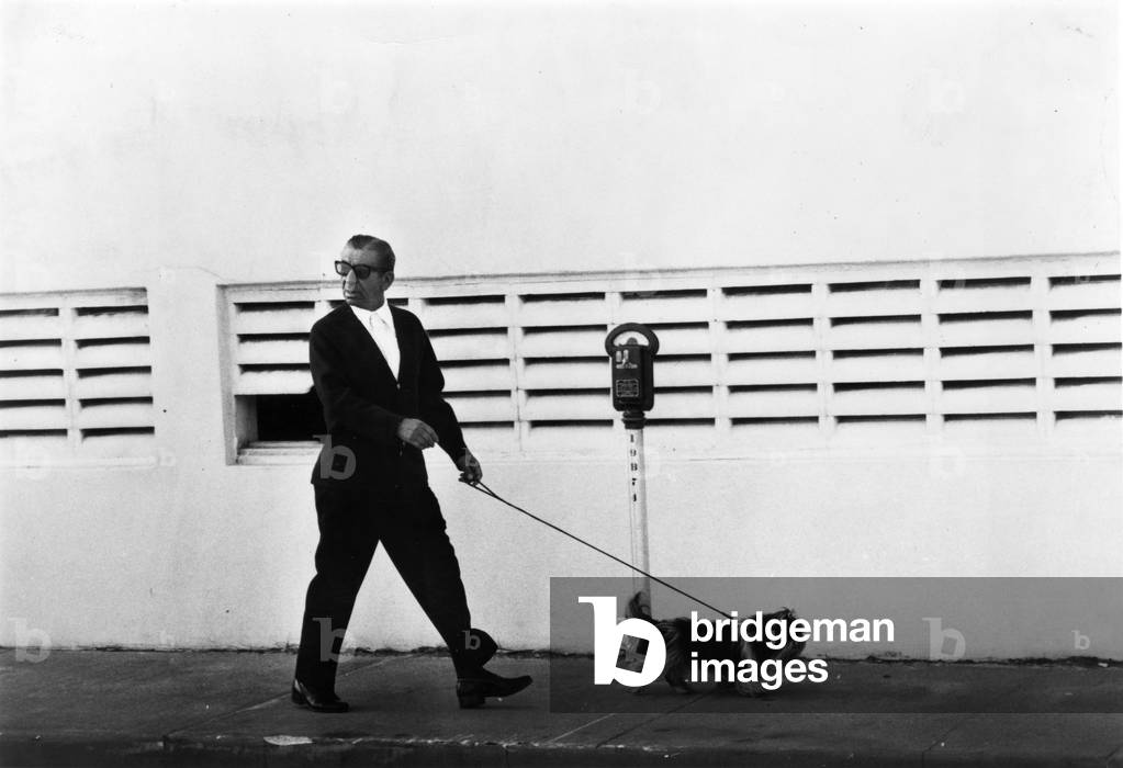 Meyer Lansky walking Bruzzer on Miami Beach, 1979 (b/w photo)
