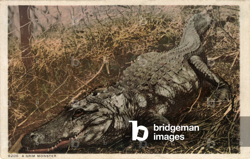 A Grim Monster, c.1915 (colour litho)