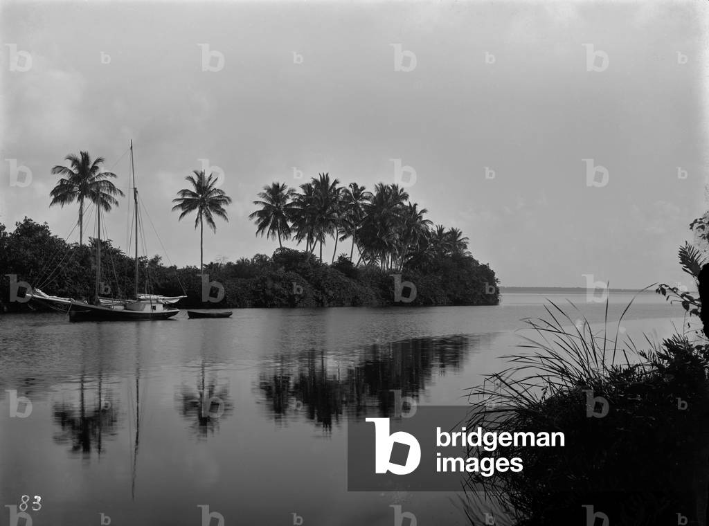 A pristine view of the mouth of the Miami River, 1884 (b/w photo)