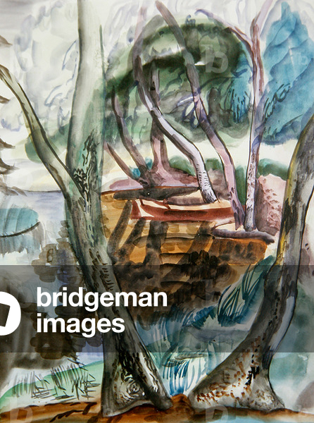 Immagine di Disegno "Paesaggio", 20th Secolo di Frances Hodgkins