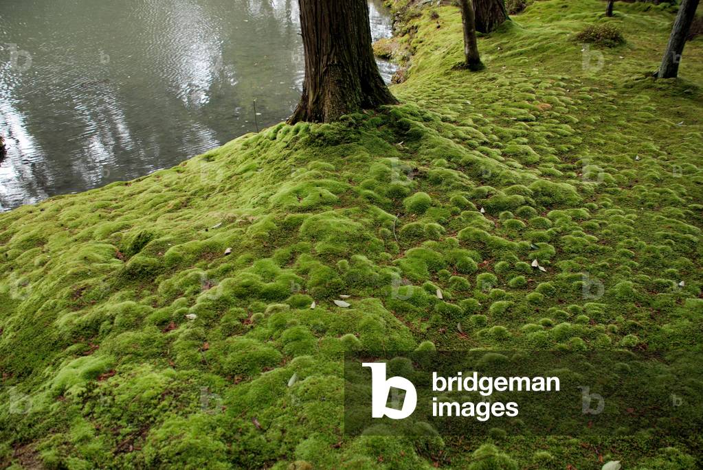 Saiho-ji or Kokedera (Temple of Mosses), Kyoto, Japan, 2010 (photo)