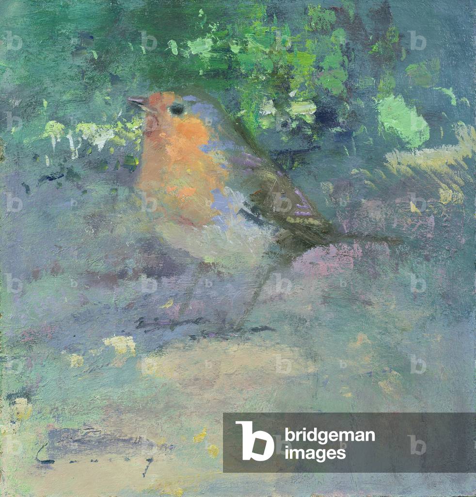 Image of Painting depicting Robin (oil on board), 20th century by Fred Cuming