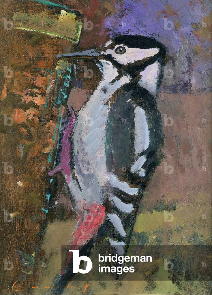 Image of Painting depicting Woodpecker (oil on board), 20th century by Fred Cuming