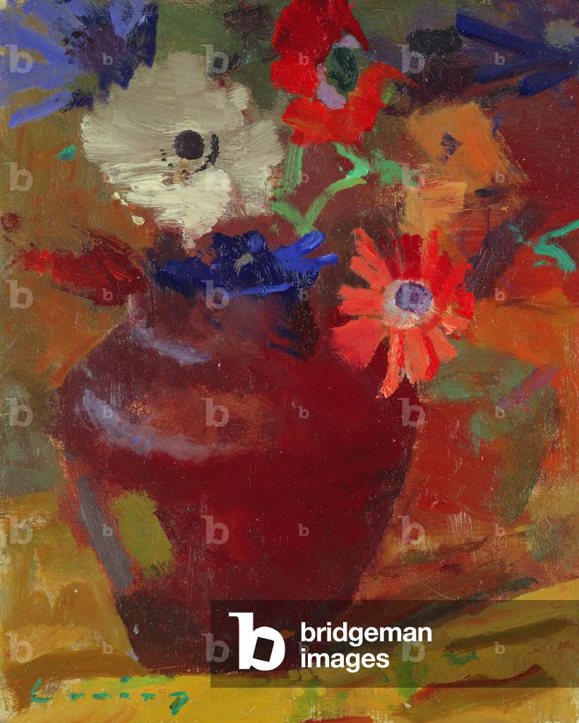 Anemonen (Öl an Bord)