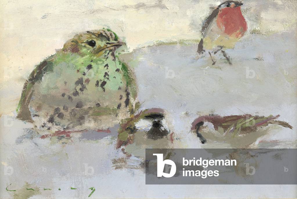 Image of Painting depicting Thrush, 20th century by Fred Cuming