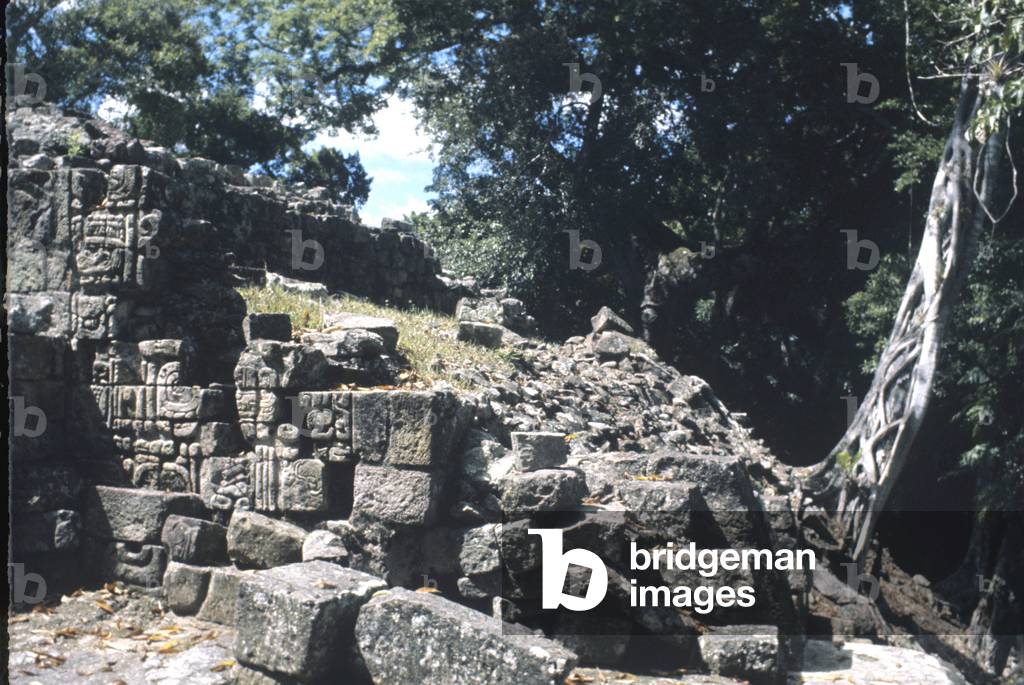 Hieroglyphic stairway, Copan. Mayan site. Honduras