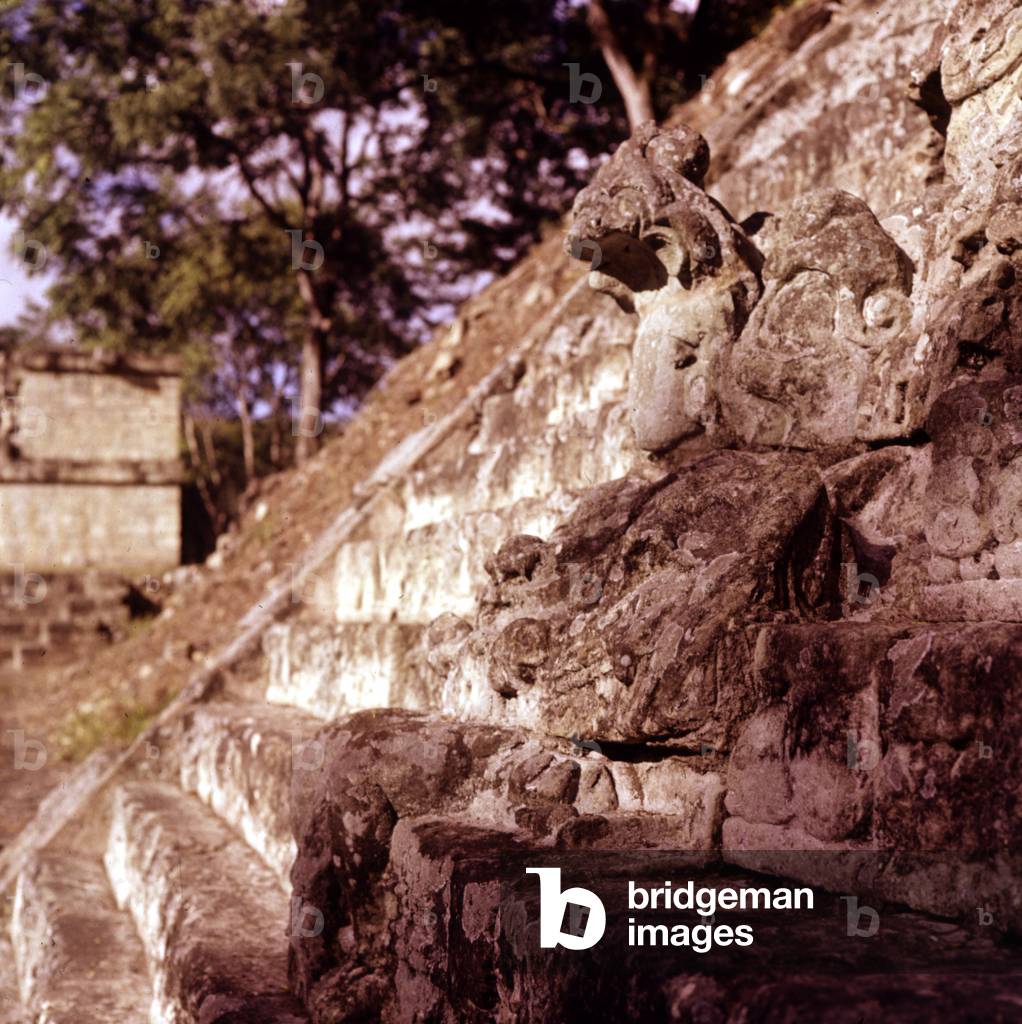 Hieroglyphic stairway, Copan. Mayan site. Honduras