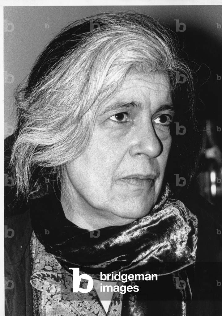 Susan Sontag, 1993