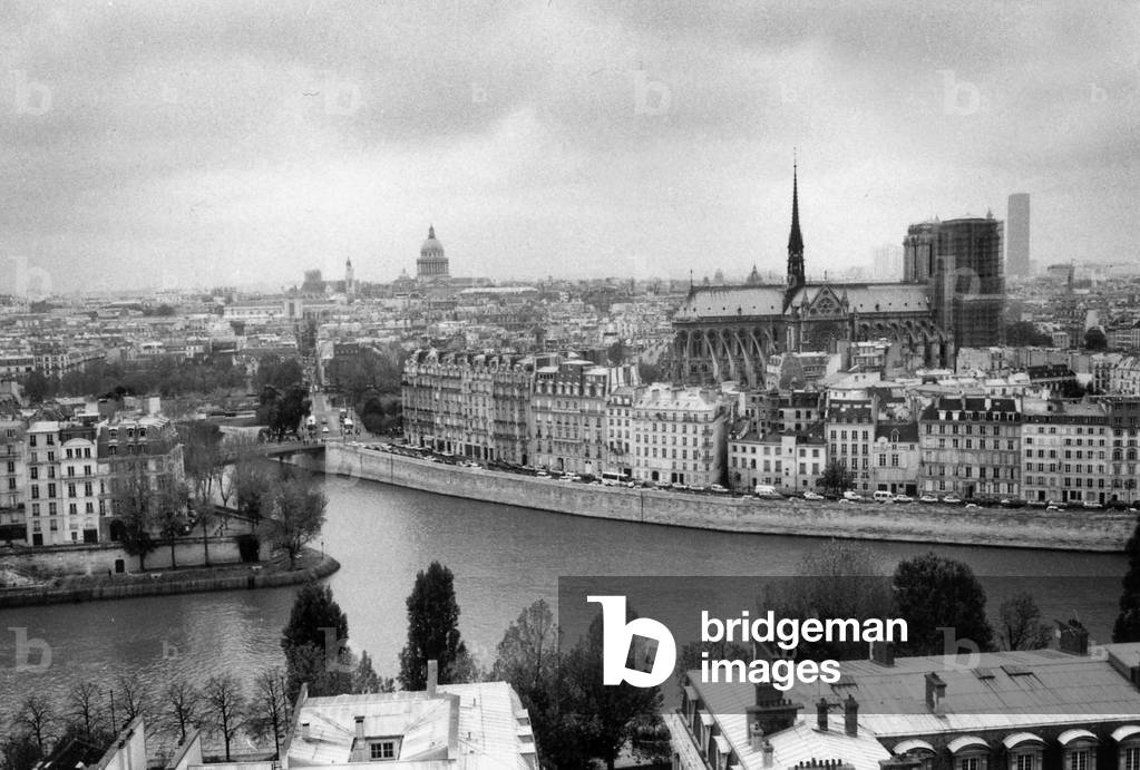 Notre dame de Paris