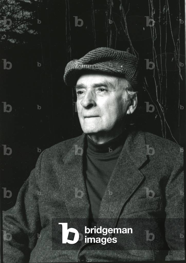 Andrea Zanzotto