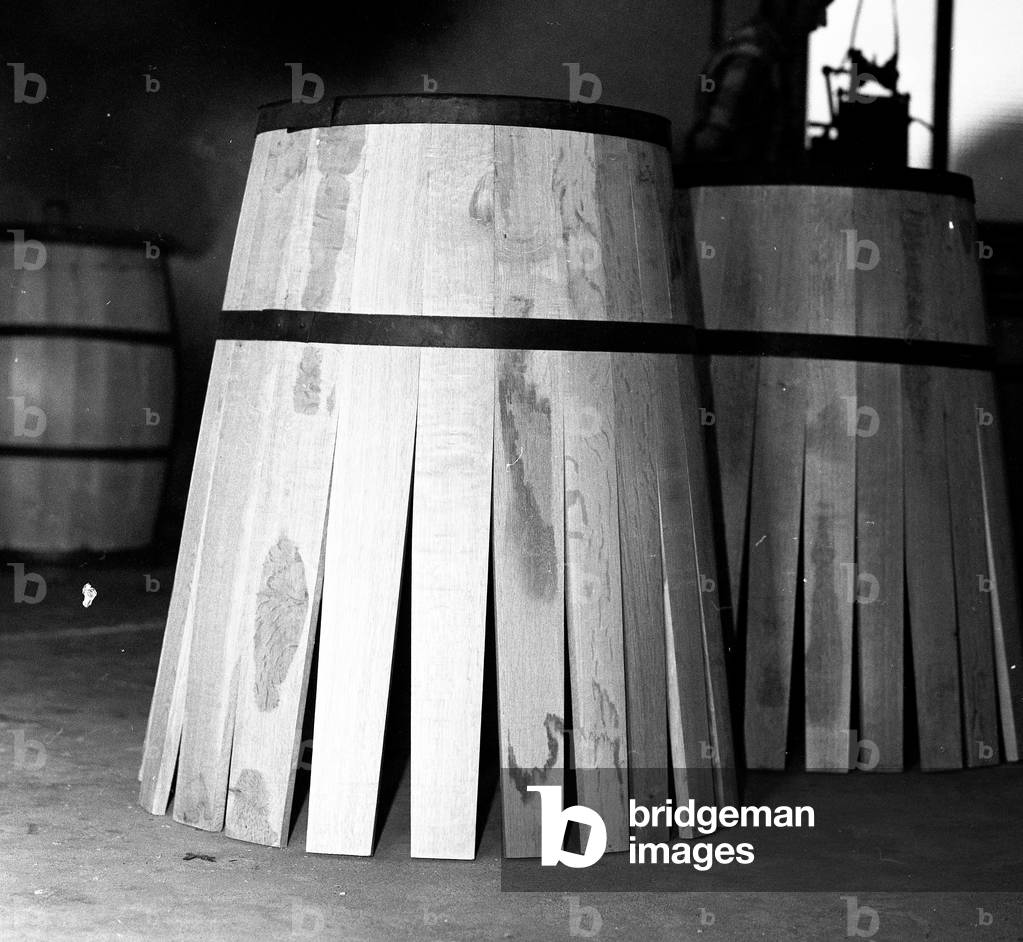Barrels of the vineyard of Buzet, 20th century
