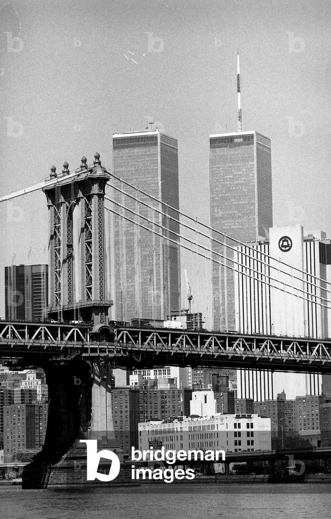 World Trade Center building in NY (photo)