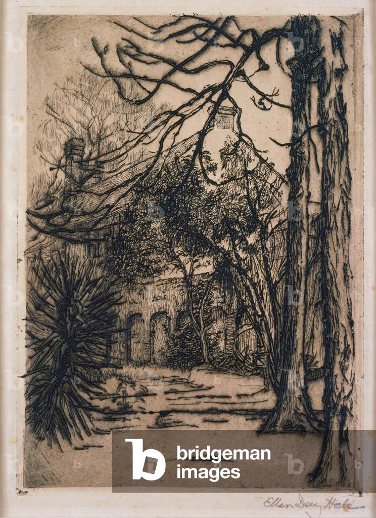 Pecan Trees, Charleston, South Carolina, c.1923 (etching on paper)