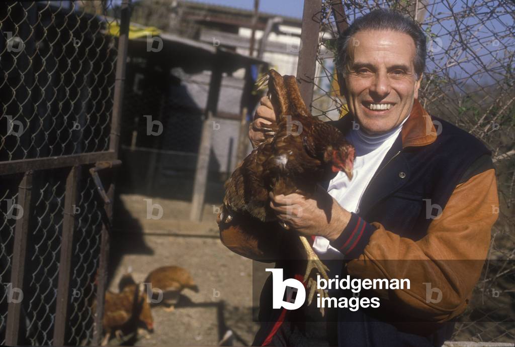 Rignano Flaminio (Rome), 1990. Italian conductor Nicola Rescigno in his chicken coop/Rignano Flaminio (Roma), 1990.Il direttore d'orchestra Nicola Rescigno nel suo pollaio -