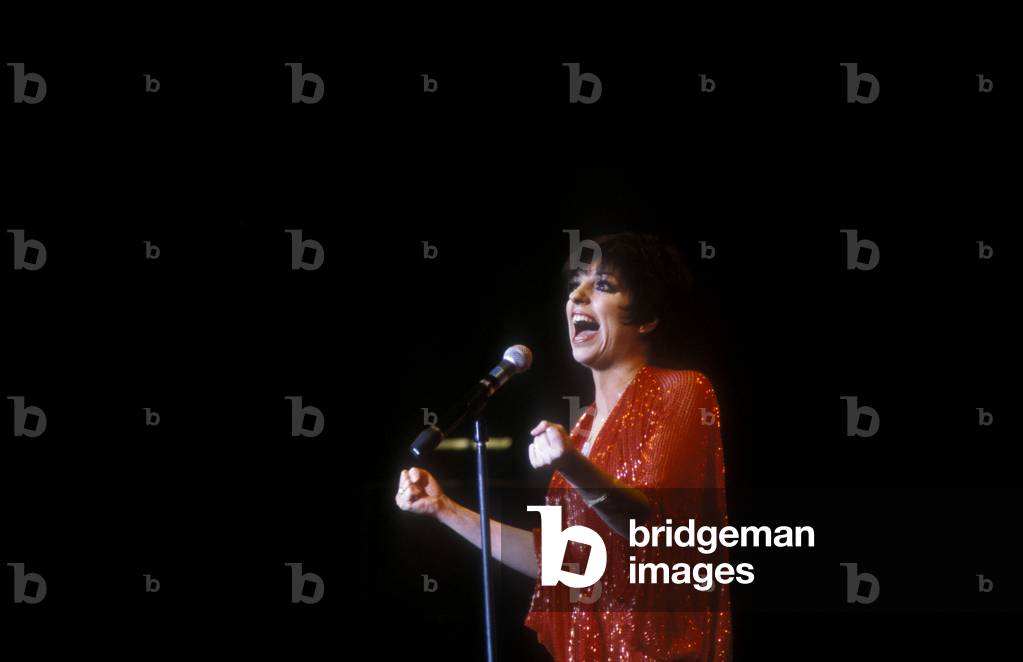 Singer and actress Liza Minnelli on stage in 1990