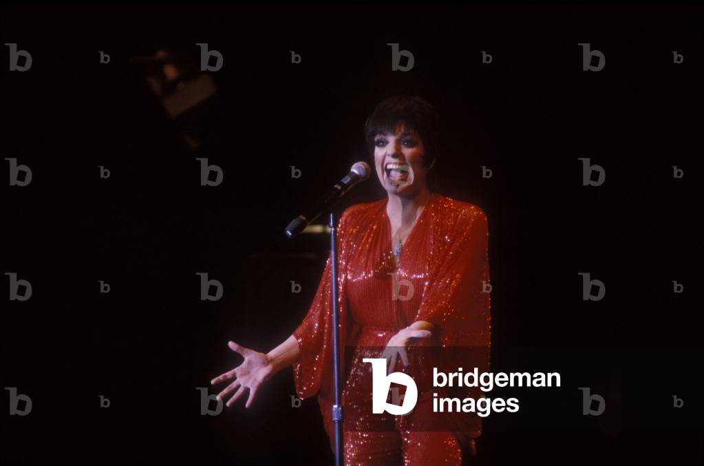 Singer and actress Liza Minnelli on stage in 1990