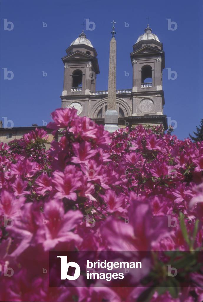 Rome, Bell towers of Trinità dei Monti Church. In the foreground, the azaleas that adorn the steps of Piazza di Spagna in spring