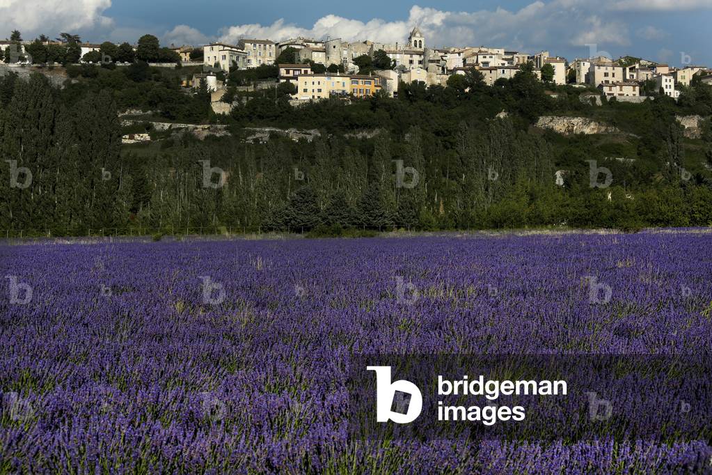 View of the Sault village in Provence (Vaucluse department, France)