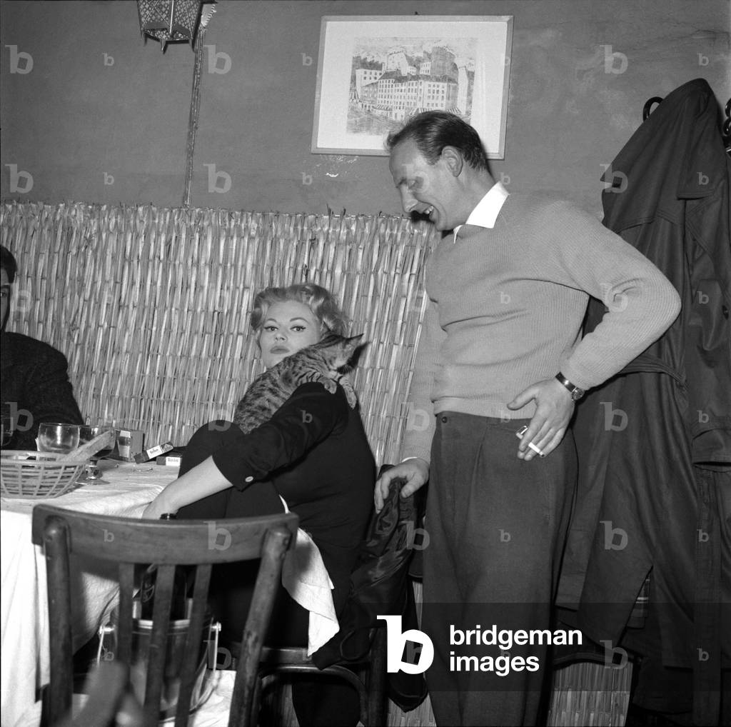 Rome, about 1960. Swedish actress Anita Ekberg with a cat in a restaurant/Roma, 1960 circa. L'attrice svedese Anita Ekberg con un gatto in un ristorante -
